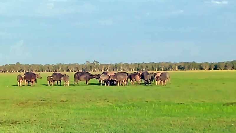 12+ Tempat Wisata di Pelaihari (Tanah Laut) Yang Menarik ...