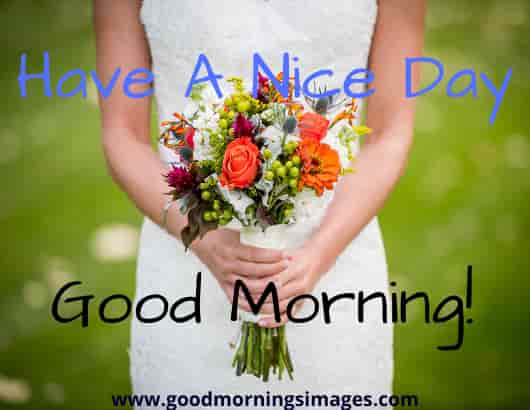 Good Morning Shayri Images Good Morning Shayri Images