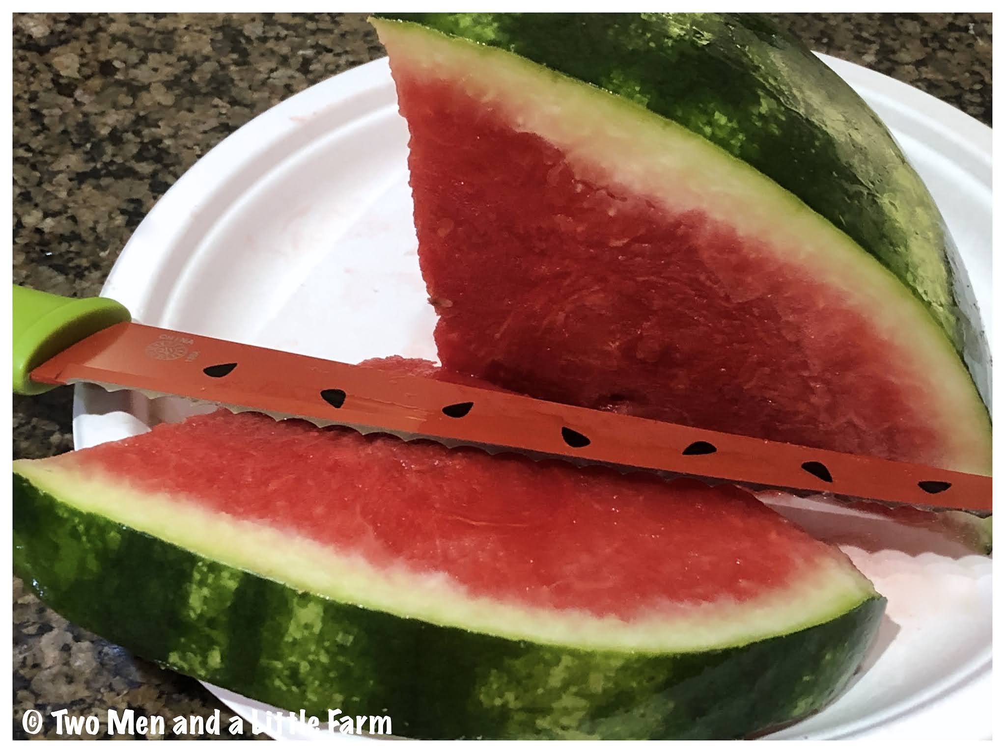 Two Men and a Little Farm A WATERMELON KNIFE