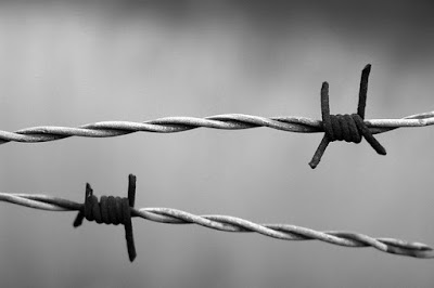 barbed wire