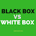 Differences Between Black Box Testing and White Box Testing
