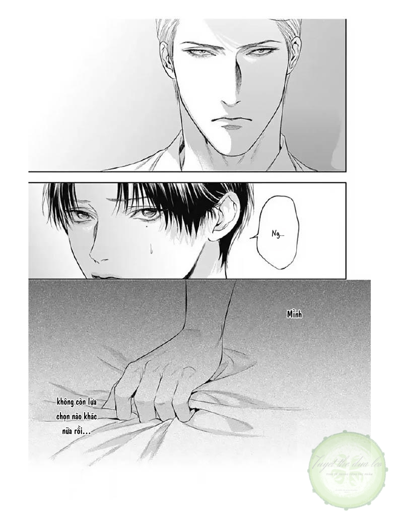 Đọc truyện Cô Dâu Của Alpha - Chapter 6