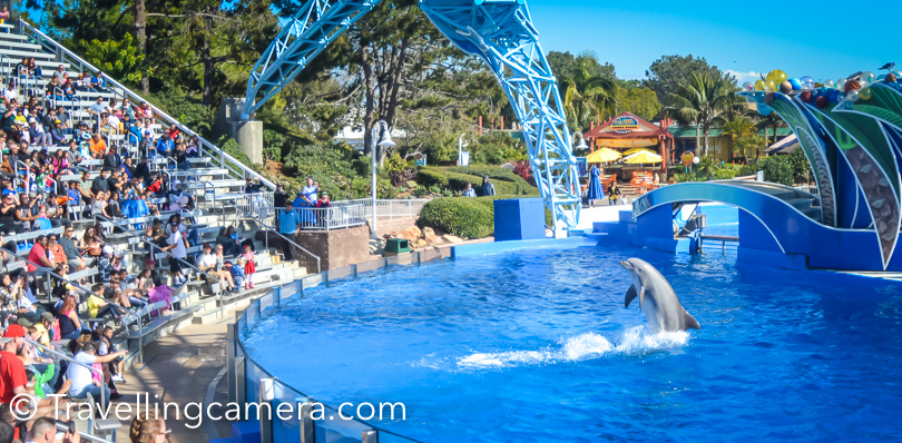 Dolphin show was the highlight for me, as this was first time I saw such a brilliant Dolphin show. More than the performance of Dolphins, I loved their relationships with their coaches. It was amazing to see their coaches interact with Dolphins and how beautifully they react to different commands and emotions.   In above photograph, a dolphin is greeting everyone in the stadium. There are huge stadiums where you can sit enjoy such shows. Wale show was closed when we were there, and that looked like the biggest stadium in the Sea World but I am not very very. And if you take first 10 rows in this stadium, Dolphins will ensure that you take another bath, so by the end of the show you will be all wet & dripping.  