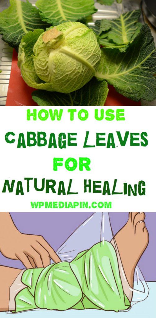 How To Use Cabbage Leaves For Natural Healing HEALTHYLIFE