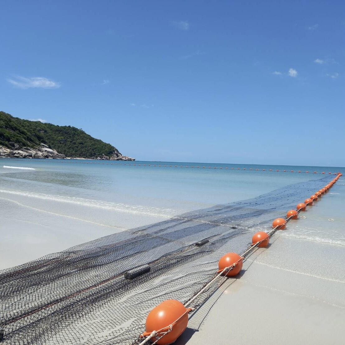 Fatal Koh Phangan Box Jellyfish Sting