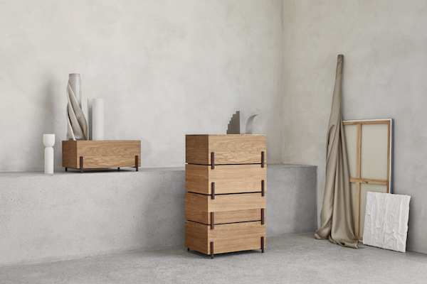 Estas suculentas são verdadeiras pedrinhas vivas