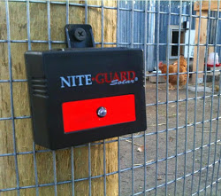 predator chicken coop safe keep chickens proofing night run lights secure coops security fencing fresheggsdaily urban egg keeping eggs fresh