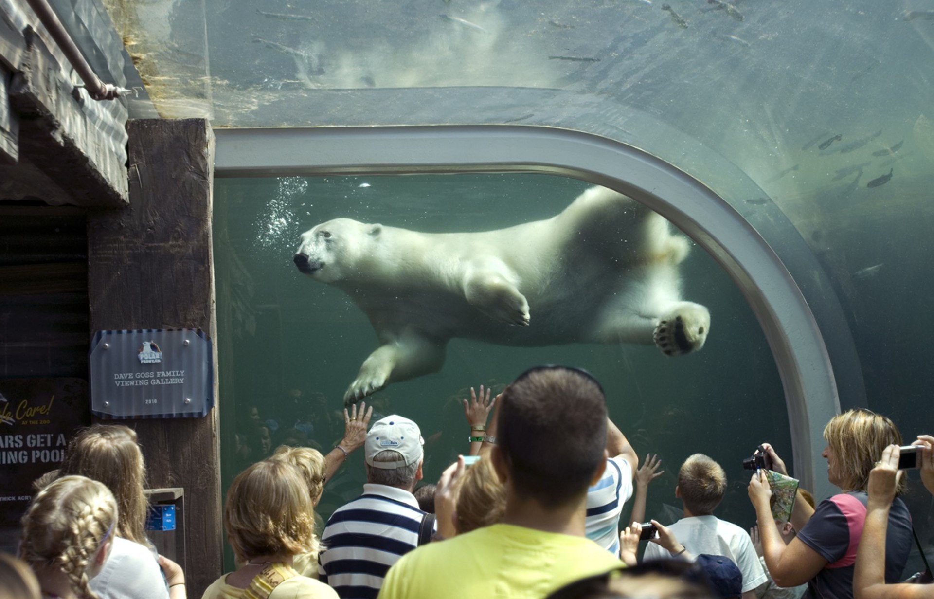 Columbus Zoo and Aquarium (with Map & Photos)