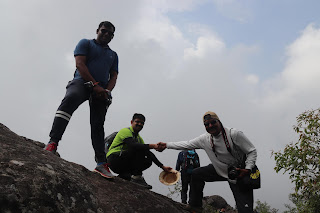 Photo of Among the Gaurs at Kotagiri 35/71 by Balachandra