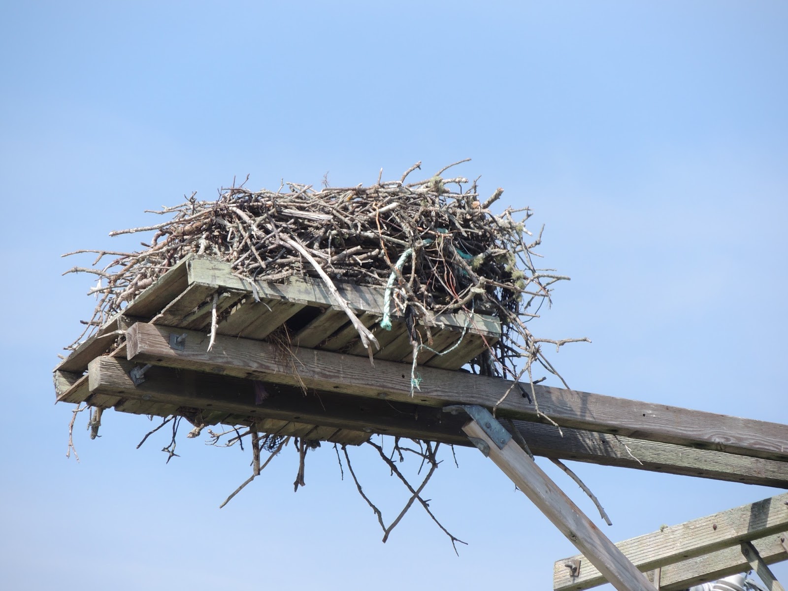 From Camping to Glamping Cape Cod Hyannis, MA, and Chatham, MA