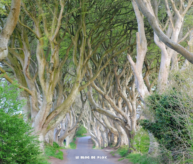 Saison 2 Reussie De La Webserie Il Revient Quand Bertrand