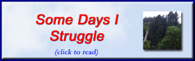 http://mindbodythoughts.blogspot.com/2016/11/some-days-i-struggle.html