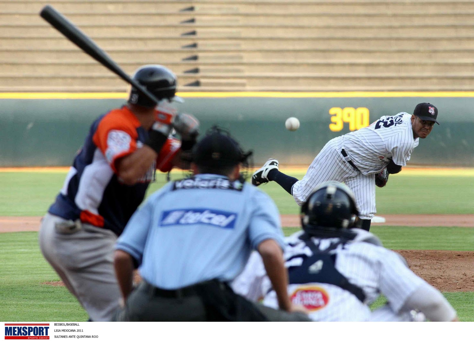 hablan las gradas CRIOLLOS EN LIGA MEXICANA (FOTOS)