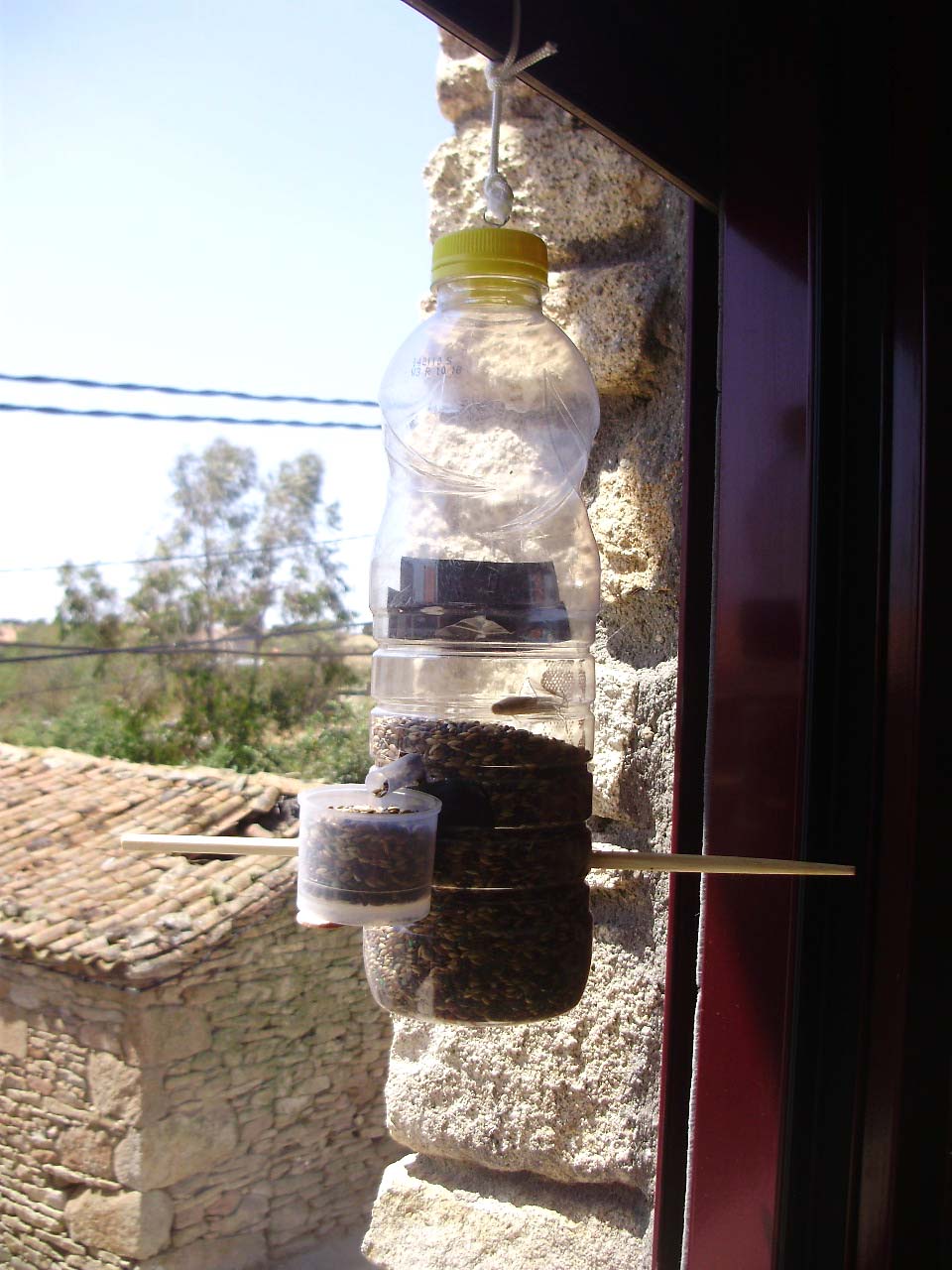 CreatiVeraneando: Comederos para pájaros