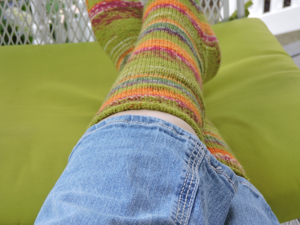 Sweet Bee Buzzings Jealousy Socks