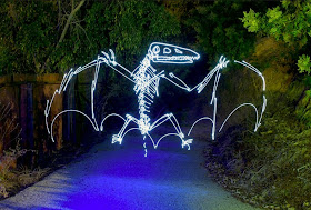 20-Pterodactyl-Darren-Pearson-Dinosaurs-Palaeontology-Skeletons-and-Angels-in-Light-Paintings-www-designstack-co