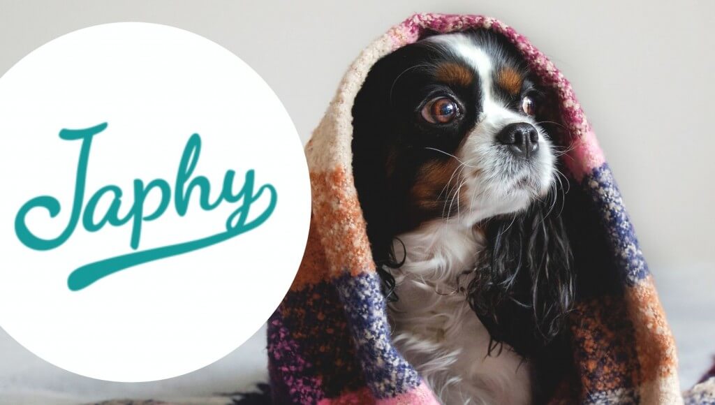 Berger Australien Chien de France