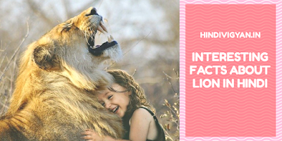 Lion facts in hindi