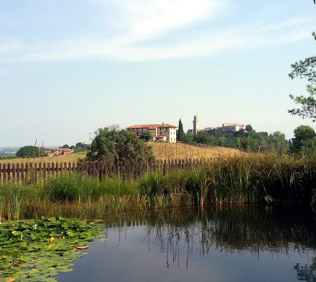 migliori agriturismo veneto dormire