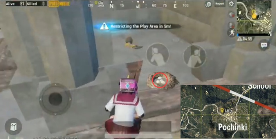 Inilah 5 Lokasi Companion Telur Burung Falcon Pubg Mobile Season
