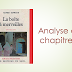 L’analyse du chapitre 7 de « La boîte à merveilles »