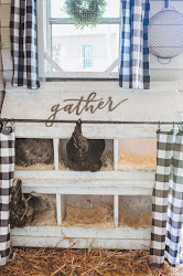 chickens raising beginners backyard guide eggs lay