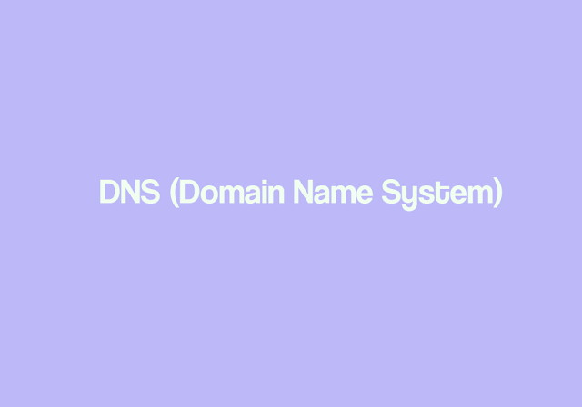 DNS domain name system