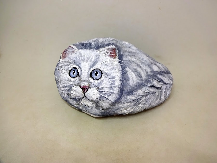 COMO PINTAR PIEDRAS CON GATO BLANCO PASO A PASO