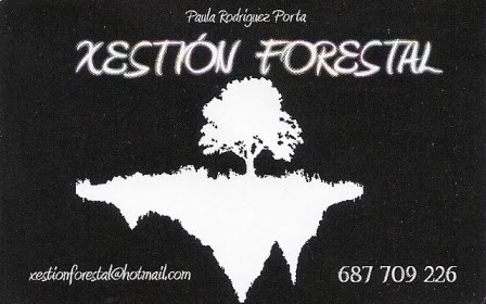 Xestión Forestal