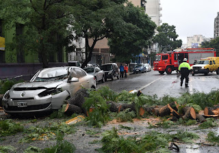 22 05 2021 caida de un arbol sobre