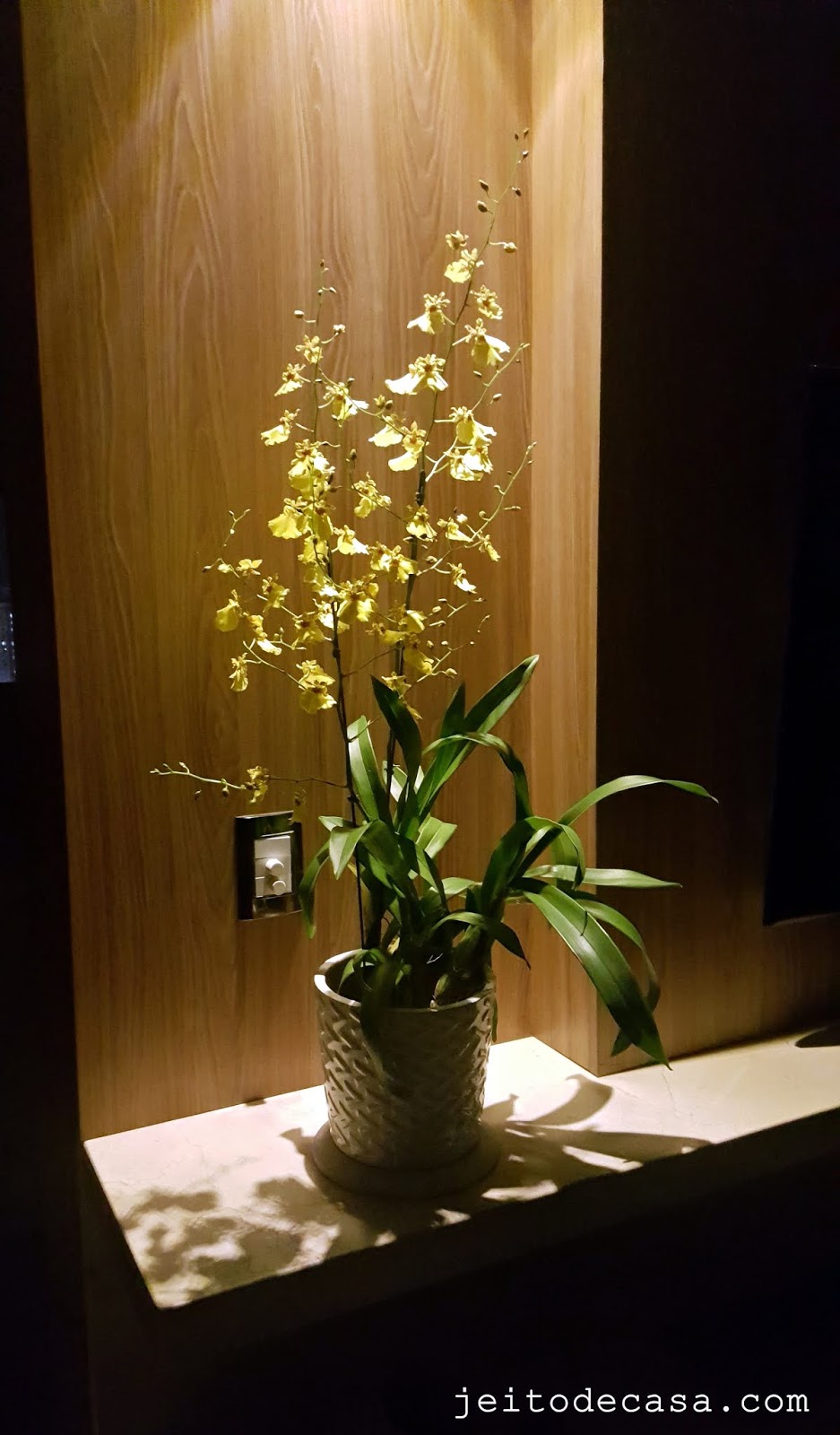 Orquídeas oncidium, popularmente chuva de ouro... - Jeito de Casa - Blog de  Decoração e Arquitetura