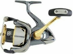 reel pancing shimano