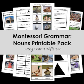 Montessori Grammar: Nouns Printable Pack