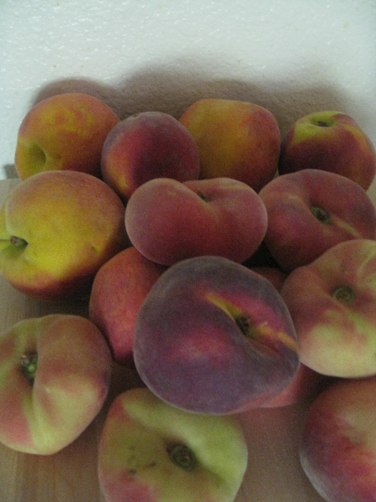 OT Cafe What's in season? Peaches!