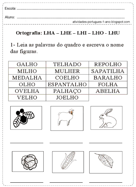 Leia as palavras do quadro e escreva o nome das figuras