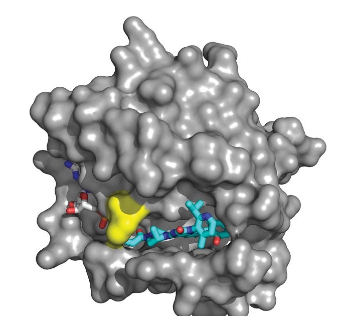 Novel Drug Delivery System Pharmaceutical Guidelines