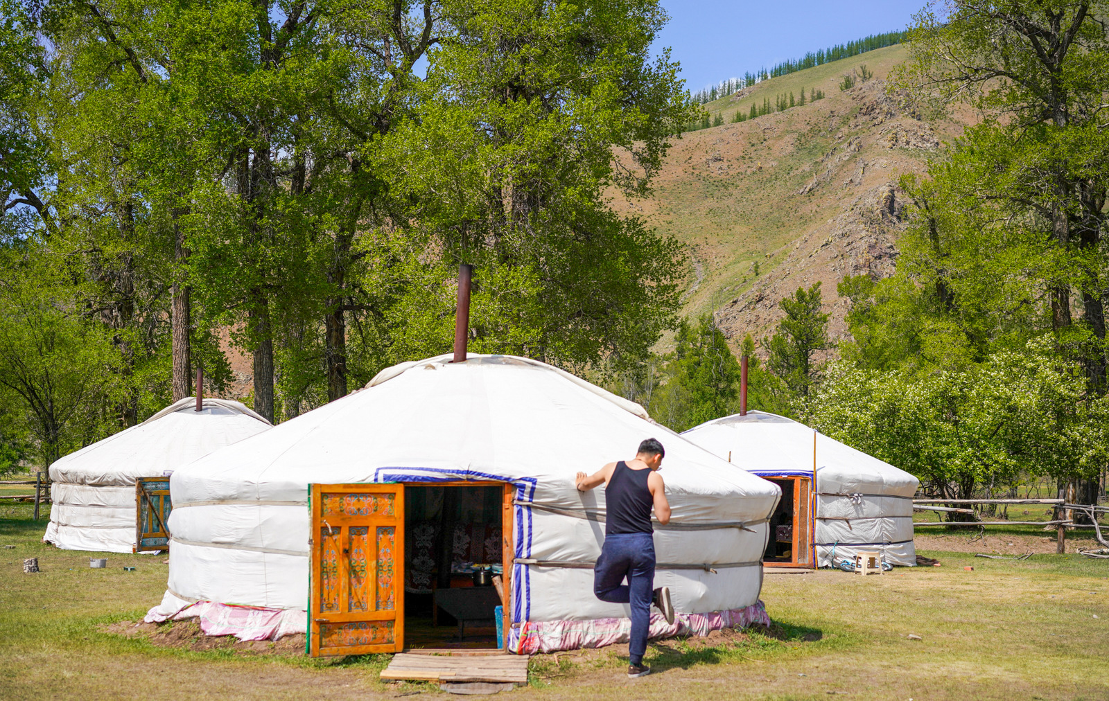 ger lunch, mongolia