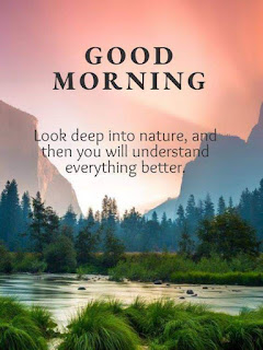 Good Morning Quote Message in English For Whatsapp Good Morning Quote Message in English