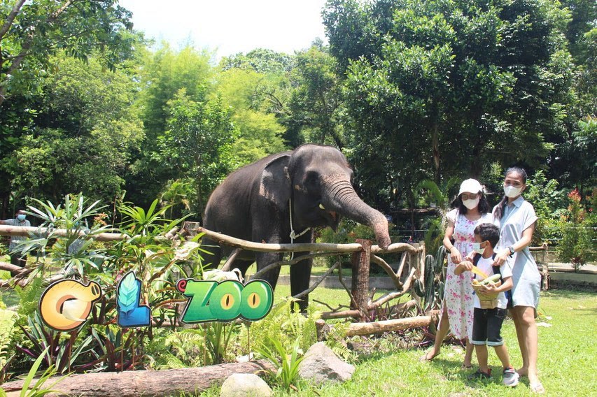 Gembira Loka Zoo, Wisata Kebun Binatang di Yogyakarta
