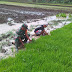 BABINSA MOTIVASI PETANI DENGAN TERJUN LANGSUNG KE SAWAH