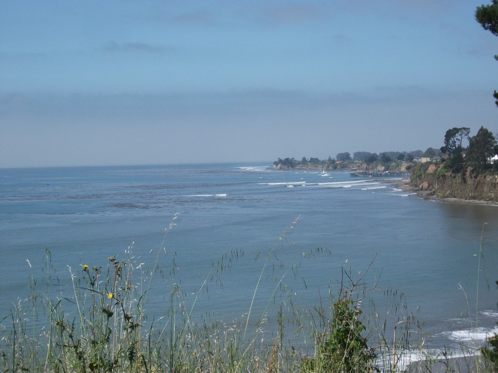 Cozy Little Quilts Camping on the beach at Capitola and progress on
