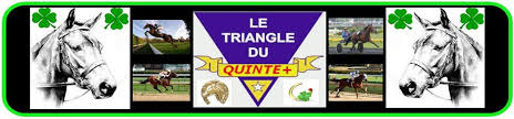 TRIANGLE DU TURF