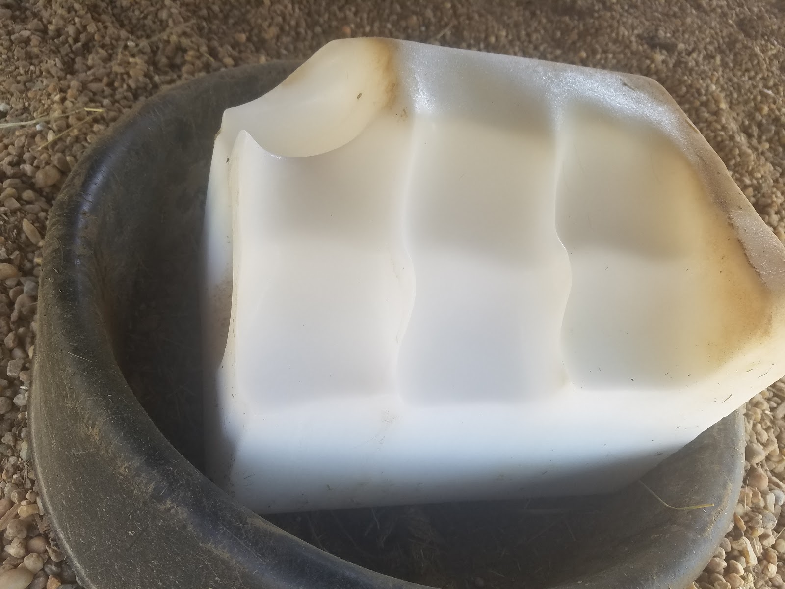 Equinpilot Salt Lick Art Easter Edition