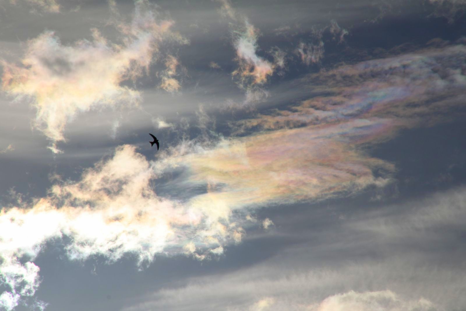 El río Argos y la Meteorología del Noroeste de Murcia Iridiscencia (5
