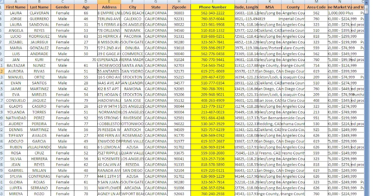 BASE DE DATOS HISPANOS EN ESTADOS UNIDOS PARA CALL CENTER Info Call Center Base de Datos