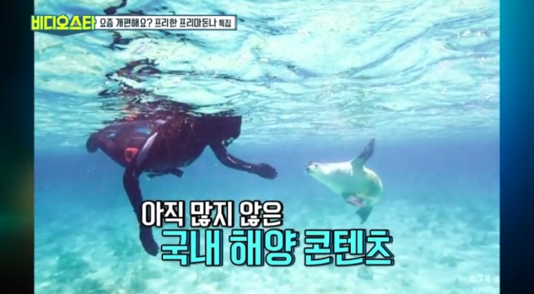 전 아나운서 현 배우인 최송현 근황 | 인스티즈