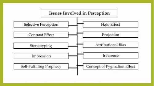 Issues Involved in Perception