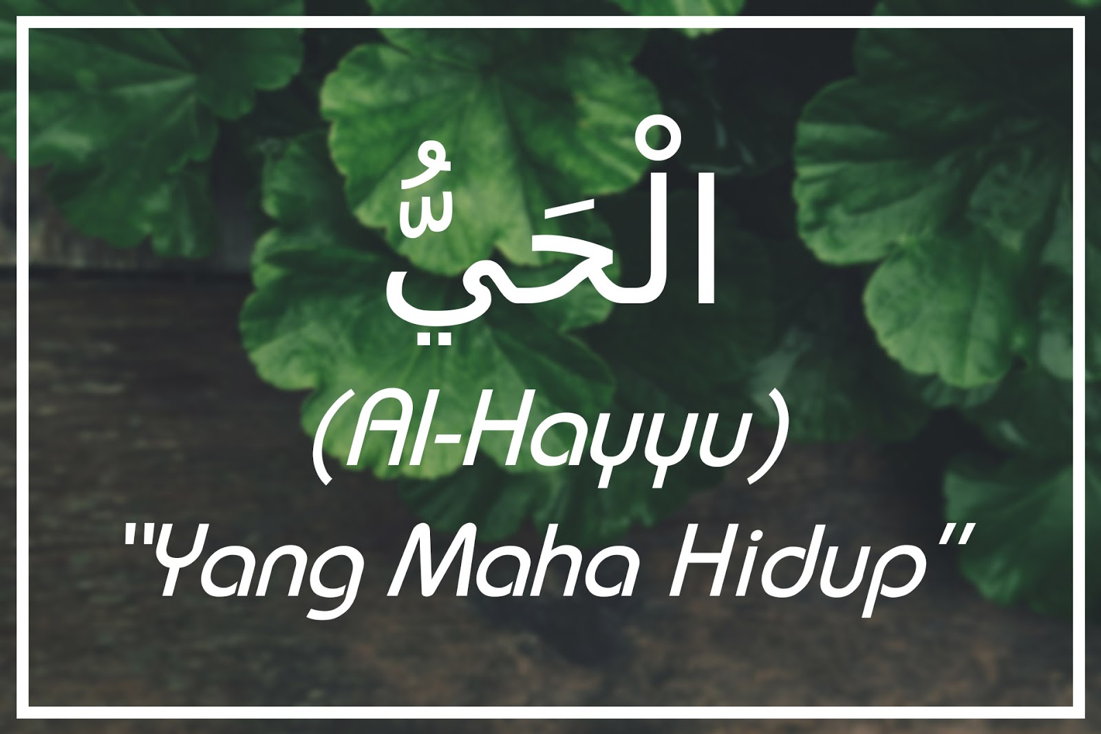 Al-Hayyu Artinya (Yang Maha Hidup) Asmaul Husna | Nyontex.com