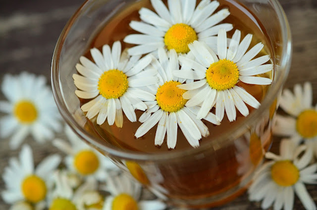 Chamomile herb