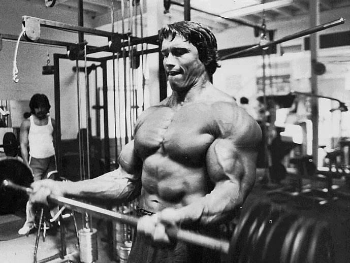 Arnold Schwarzenegger Bodybuilding - Picture Celebrity